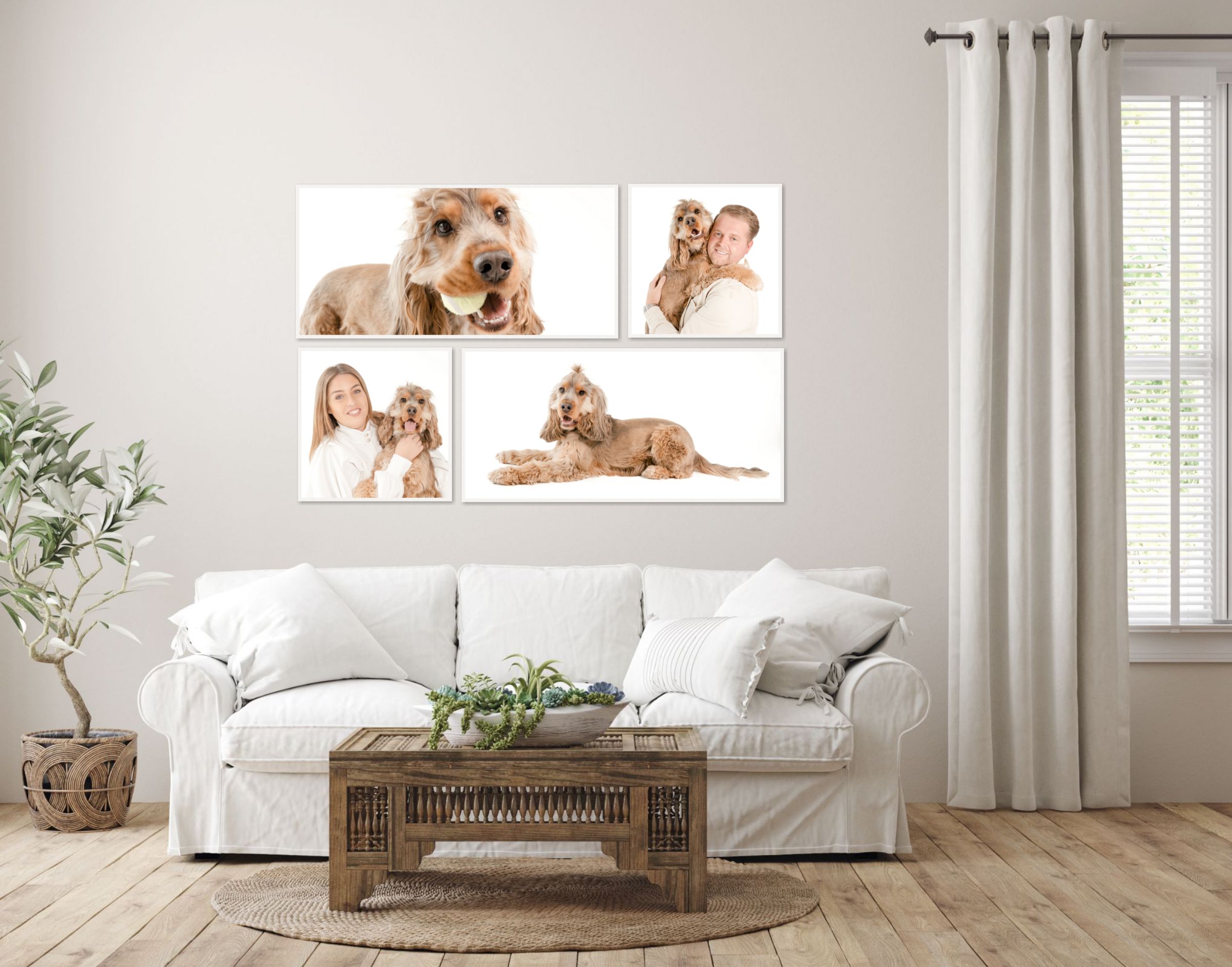 wall art collection of dog from colchester pawtrait photoshoot